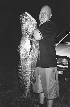 Although he couldn’t find anyone to go fishing with him that day, Rob Stokes of Karuah caught this 30kg jewfish under the local bridge. He proudly stuck it to everyone in town who had told him there were no fish around.